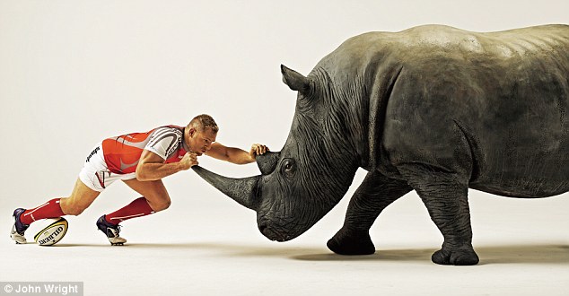 The GUN SHOW v Rhino: Only going to be one winner